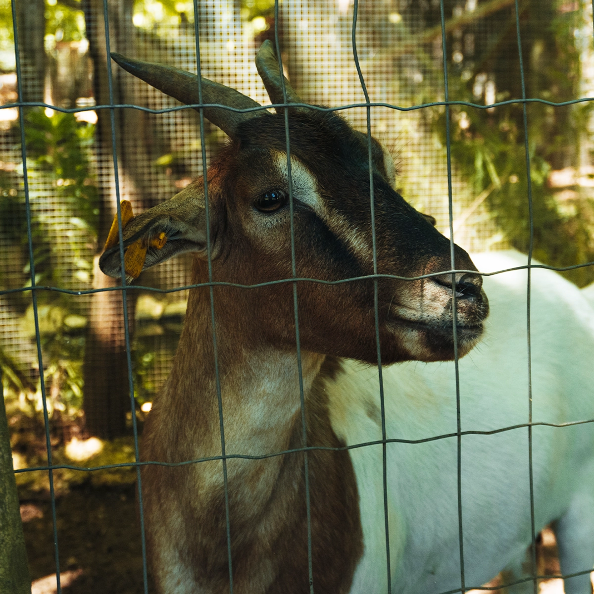 Agriturismo Kelle Terre